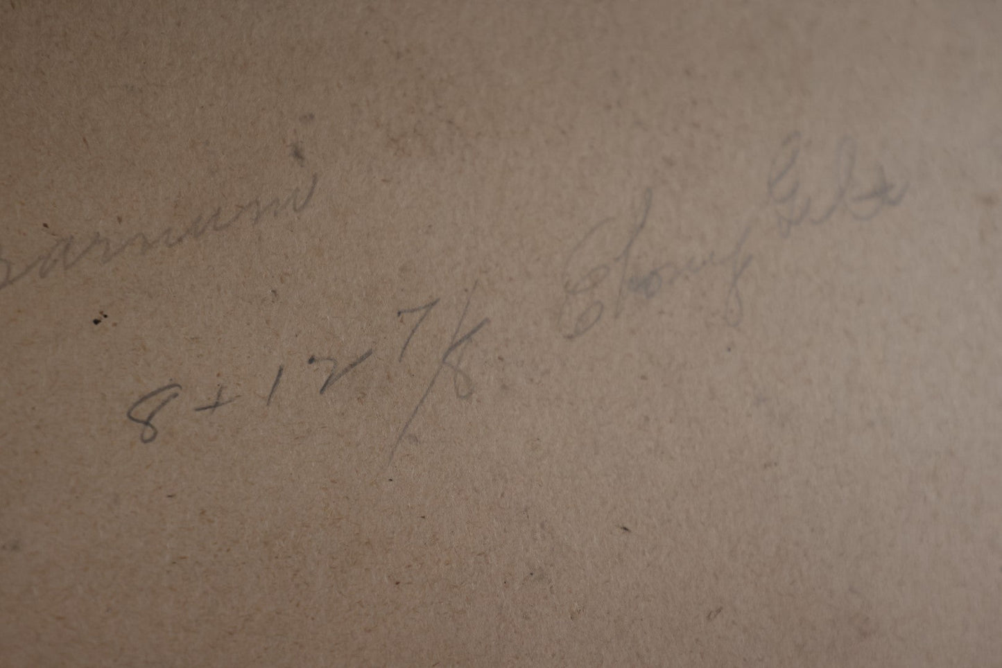 Lot 115 - Antique Hand Painted Portrait Of Princeton Fan Victorian Woman, Signed J.E.P.