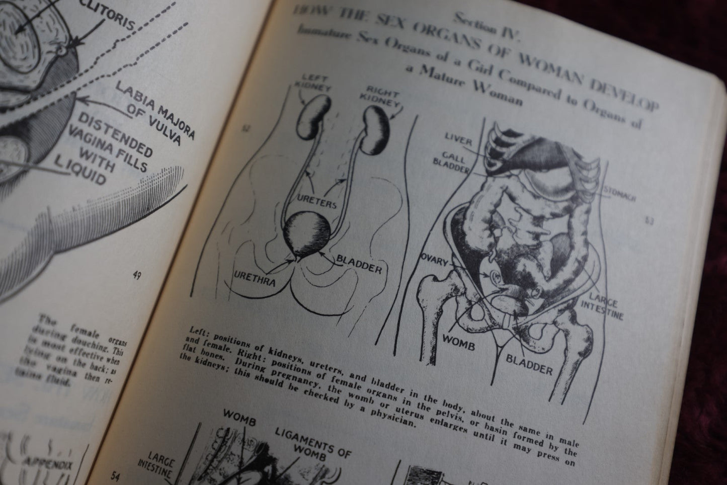 Lot 145 - Picture Stories Of The Sex Life Of Man And Woman Vintage Pamphlet, By Dr. David H. Keller, 1939, Falstaff Press, Illustrated