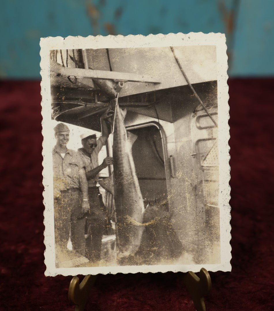 Lot 170 - Single Snapshot Photo - Two Sailors With Shark They Caught