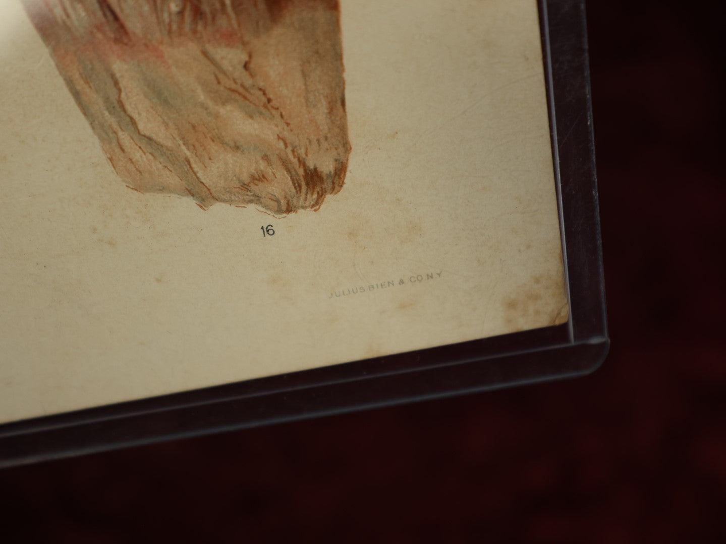 Lot 051 - Antique Chromo Lithograph Of Various Gemstones, Copyright 1896 By F.E. Wright, Julius Bien & Co., New York