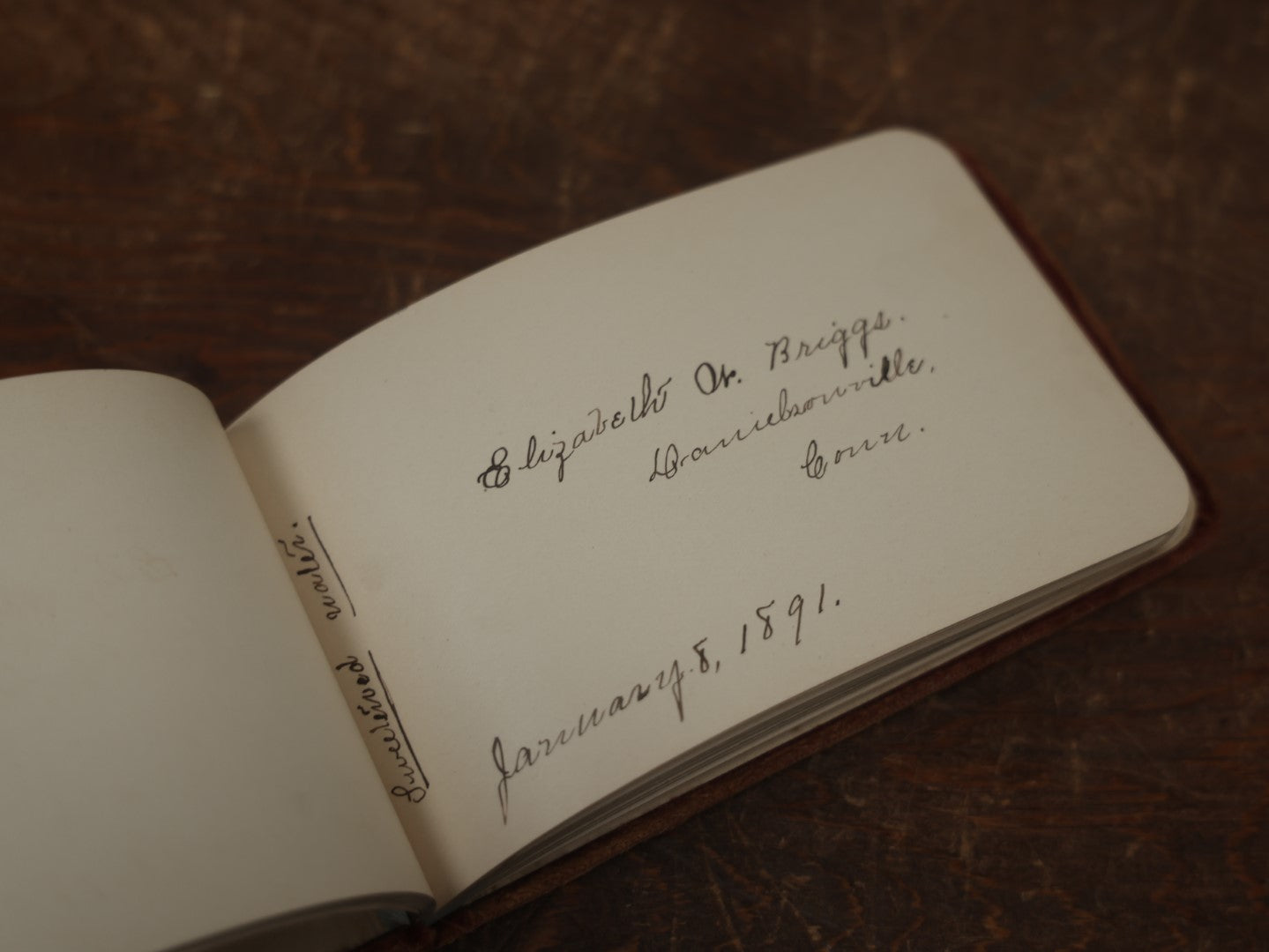 Lot 091 - Antique Victorian Velvet Autograph Album With Metal Album Badge, Many Signatures, 1890s, Mount Holyoke College