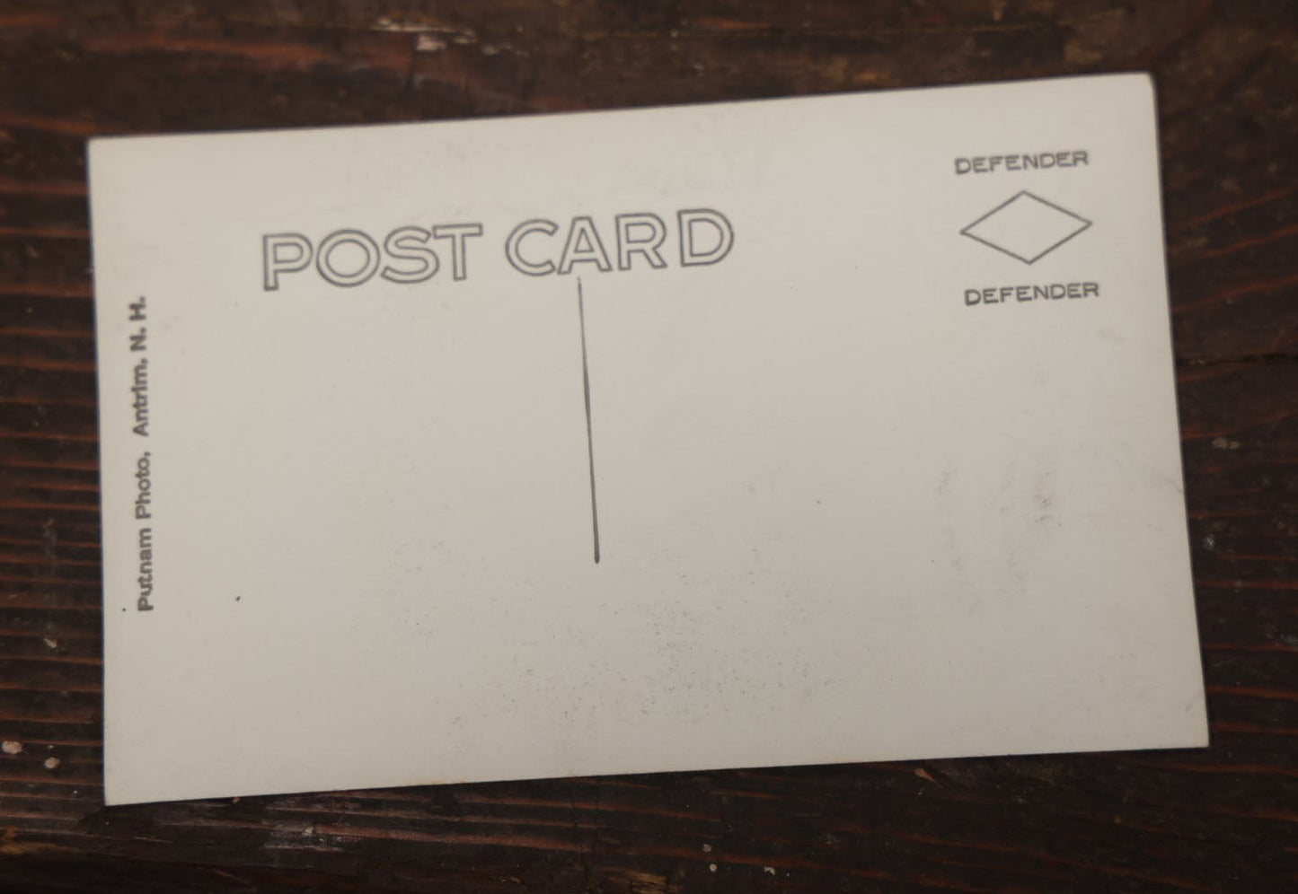 Lot 012 - Grouping Of Seven Vintage Real Photo Postcards R.P.P.C. Of Morse Natural History Museum Taxidermy Collection, Warren, New Hampshire, Circa Early 20Th Century, By Putnam Photo, Antrim, New Hampshire