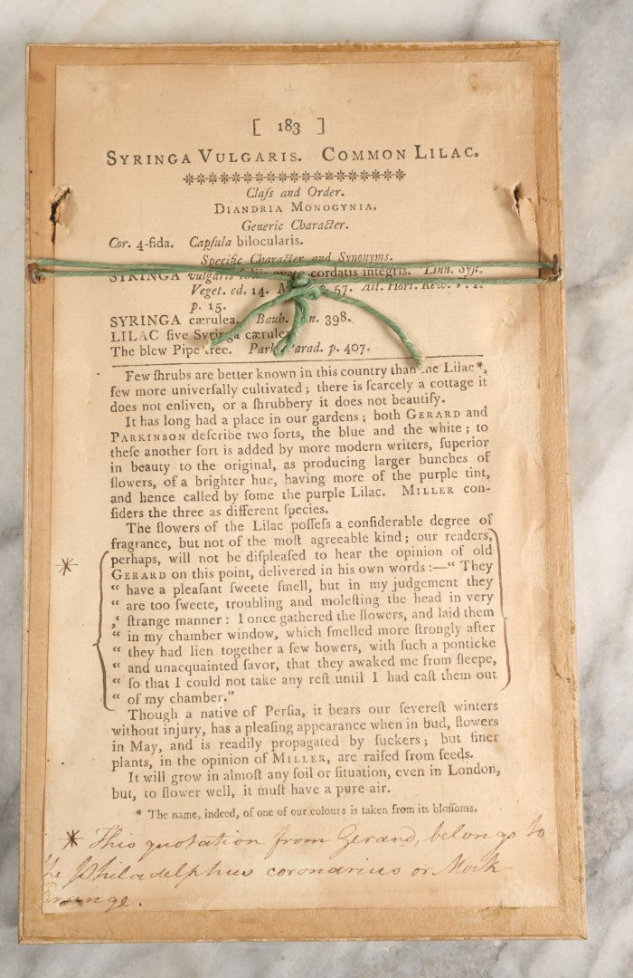 Lot 053 - Antique Hand Colored Print Of The Common Lilac, "Syringa Vulgaris" Published 1792 By W. Curtis, St. George's Crescent, Canada