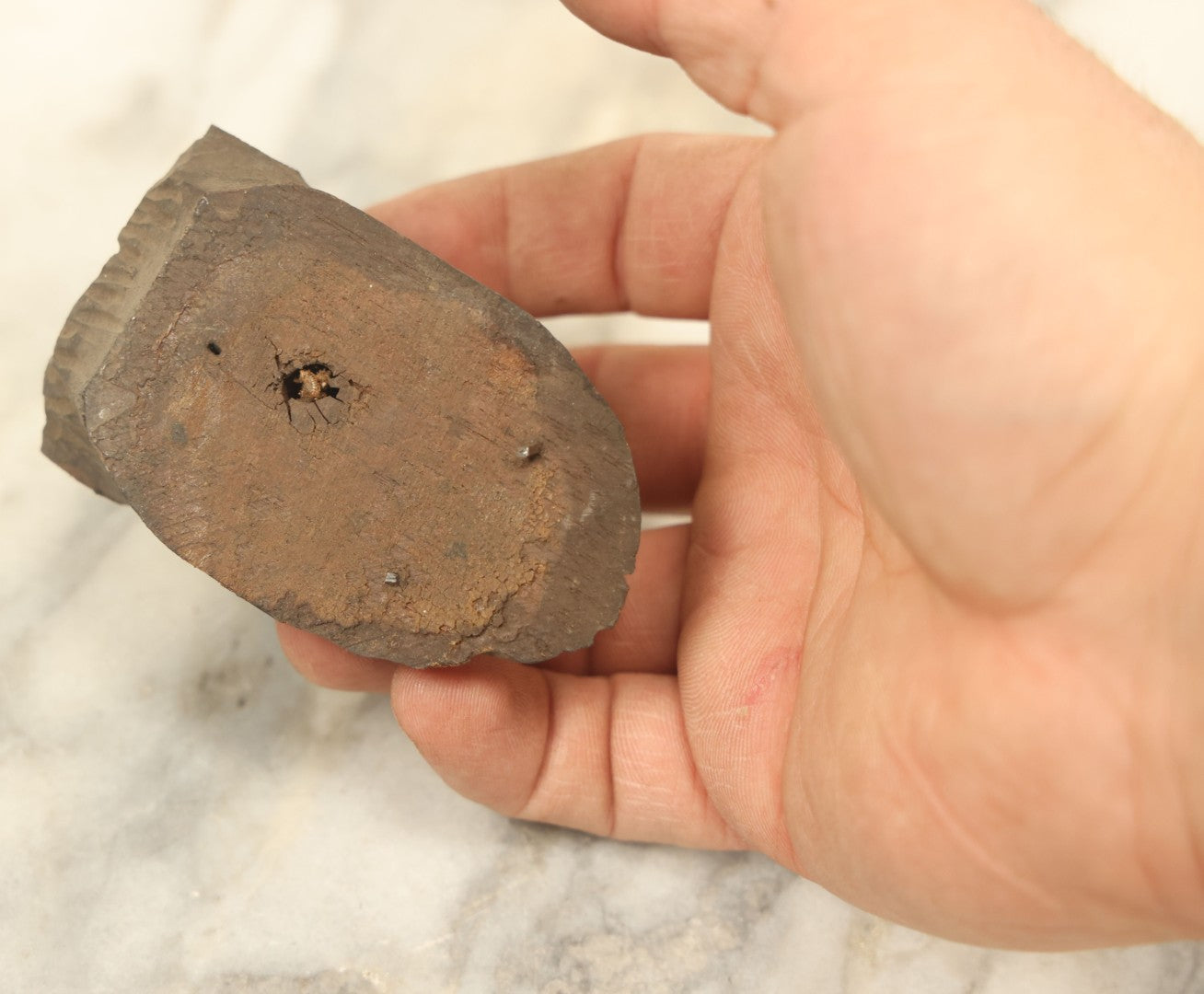 Lot 018 - Antique Black Forest Carved Stag Head Fragment As Found