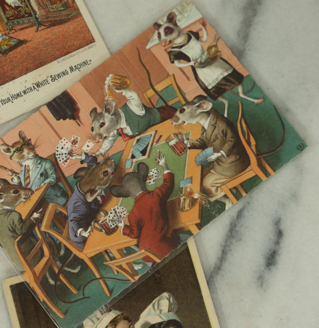 Lot 089 - Grouping Of Eleven Vintage And Antique Postcards And Trade Cards, Including Trade Card With Insect, Orphan Girls, Illustrated Nudist Comic Postcards, And More