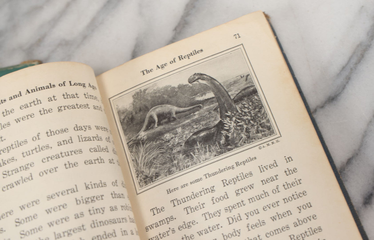 Lot 115 - Pair Of Vintage Children's "Pathways In Science" Books Including "We Look About Us" And "Our Wide, Wide World" By Gerald S. Craig Et. Al., Illustrated, 1930s