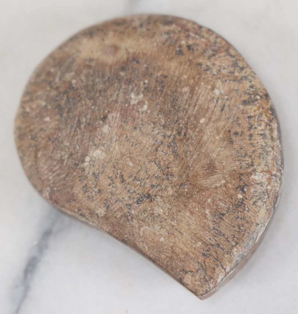 Lot 036 - Genuine Polished Ammonite Fossil, 3-1/2" Approximate Diameter