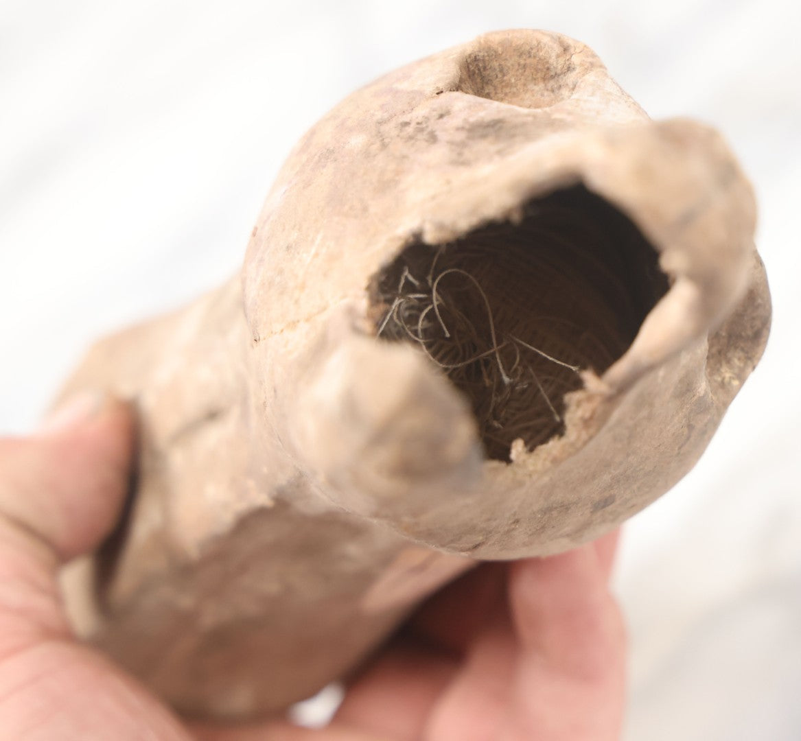 Lot 090 - Vintage Papier Mache Taxidermy Head Form, With Ball Of String Inside Mouth, Possibly Repurposed As String Holder