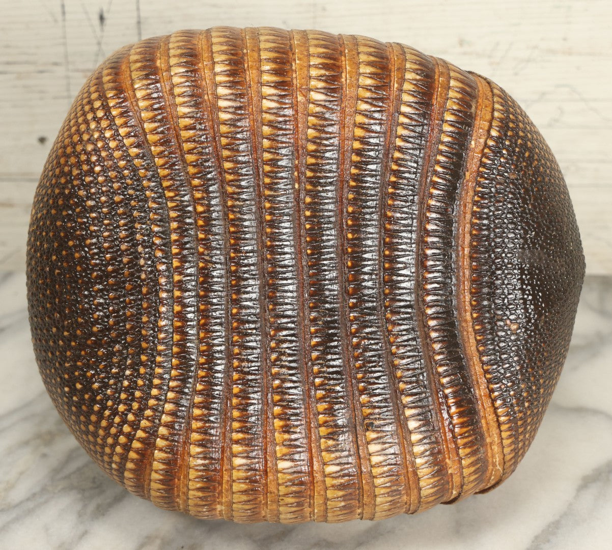 Lot 003 - Vintage Taxidermy Armadillo Purse Novelty, Made From A Genuine Armadillo