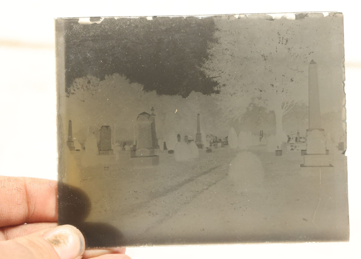 Lot 062 - Single Antique Glass Negative Plate, Graveyard Cemetery (First Photo Is Inverted)