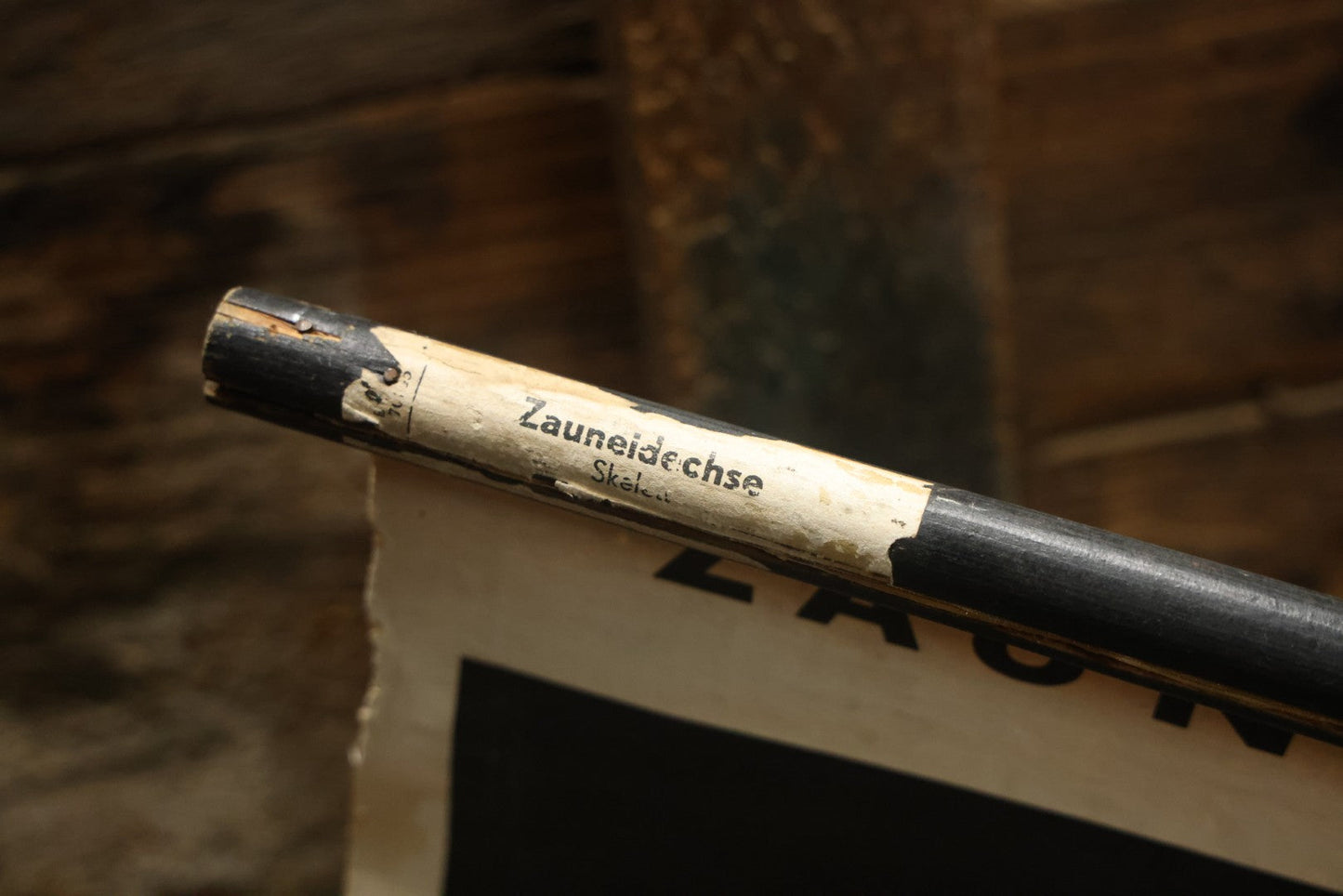 Lot 004 - Vintage German Lizard Skeleton Anatomy Poster, Published By Volk Und Wissen Volkseigener Verlag, Berlin, Curt Scholze, 48" Across x 32" Long Unrolled Including Hangers