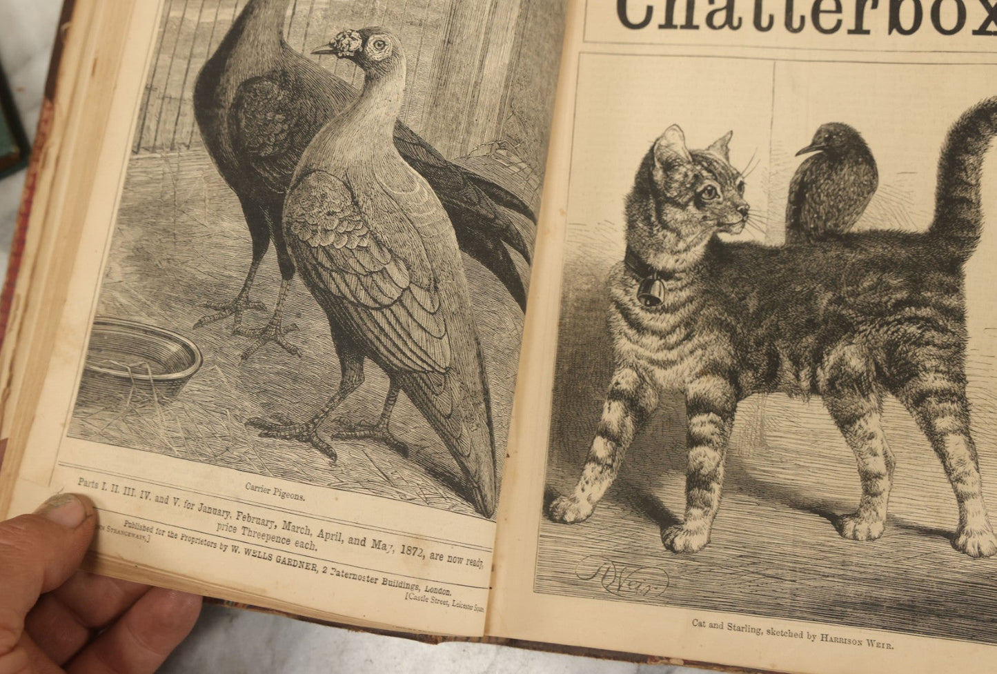 Lot 174 - Grouping Of Three Antique Children's Books Including Stories For The Young, Granny's Wonderful Chair, And Chatterbox 1872