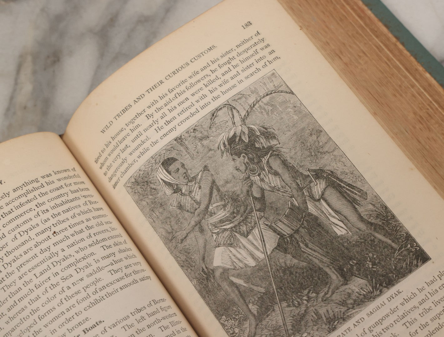 Lot 012 - "Earth, Sea, And Sky; Or The Marvels Of The Universe" Antique Natural History Book By Henry Davenport Northrop, With Over 300 Fine Engravings, L.P. Miller & Co., Publishers, Chicago & Philadelphia, 1887