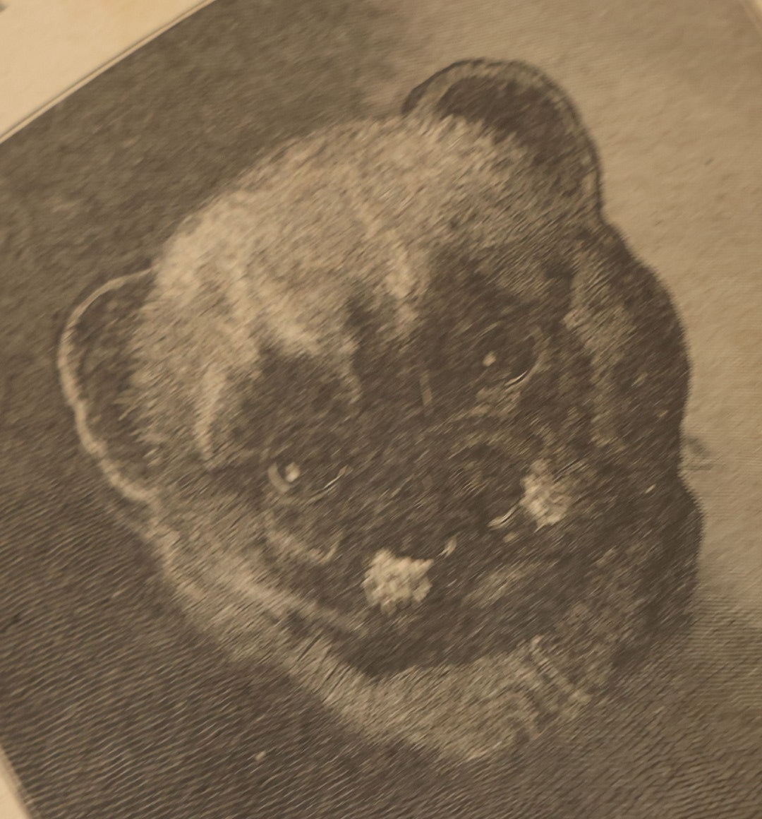 Lot 100 - Pair Of Antique Childrens Booklets Including "Hop O'My Thumb" With Lithograph Cover And "Nice Little Stories," Circa 1895