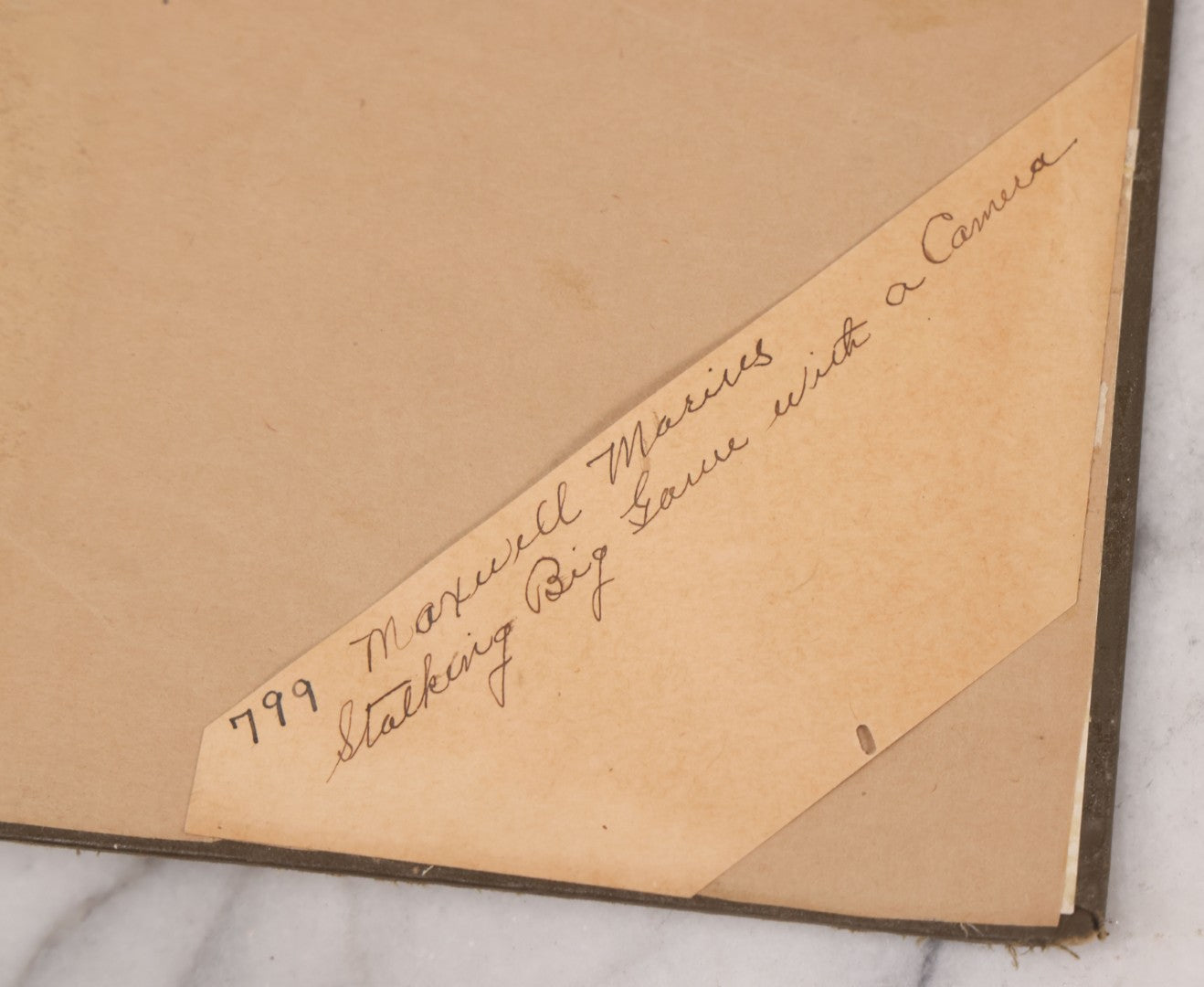Lot 063 - "Stalking Big Game With A Camera In Equatorial Africa With A Monograph On The African Elephant" Antique Book By Marius Maxwell, Illustrated From Photographs By The Author, The Century Co., New York & London, 1924, First U.S. Edition