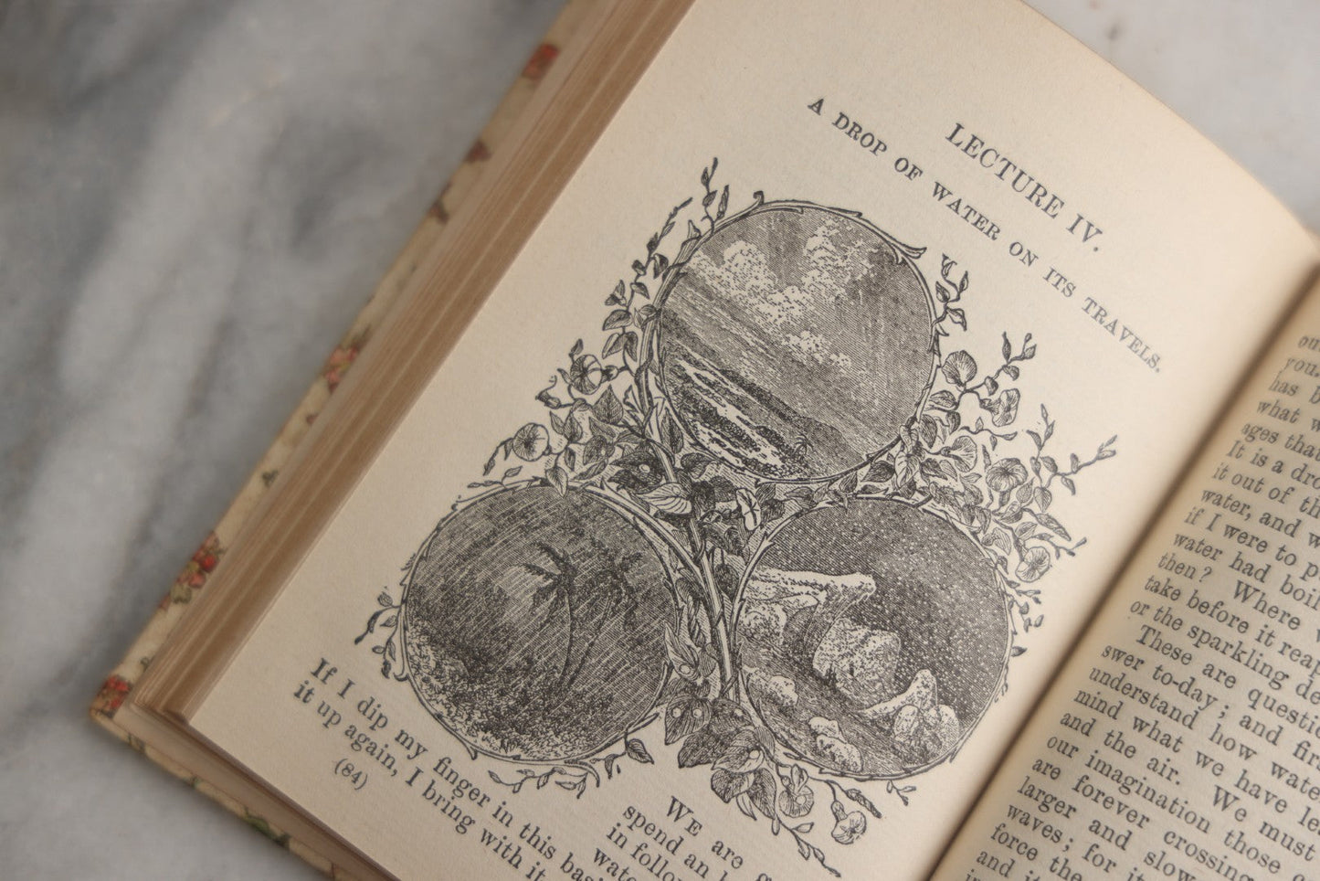 Lot 165 - "The Fairy-Land Of Science" Antique Book By Arabella B. Buckley, The Gold Series, Floral Patterned Cloth Boards With Gilt And Green Vine Design, Illustrated With Engravings, F.M. Lupton Publishing Company, New York, Circa 1895