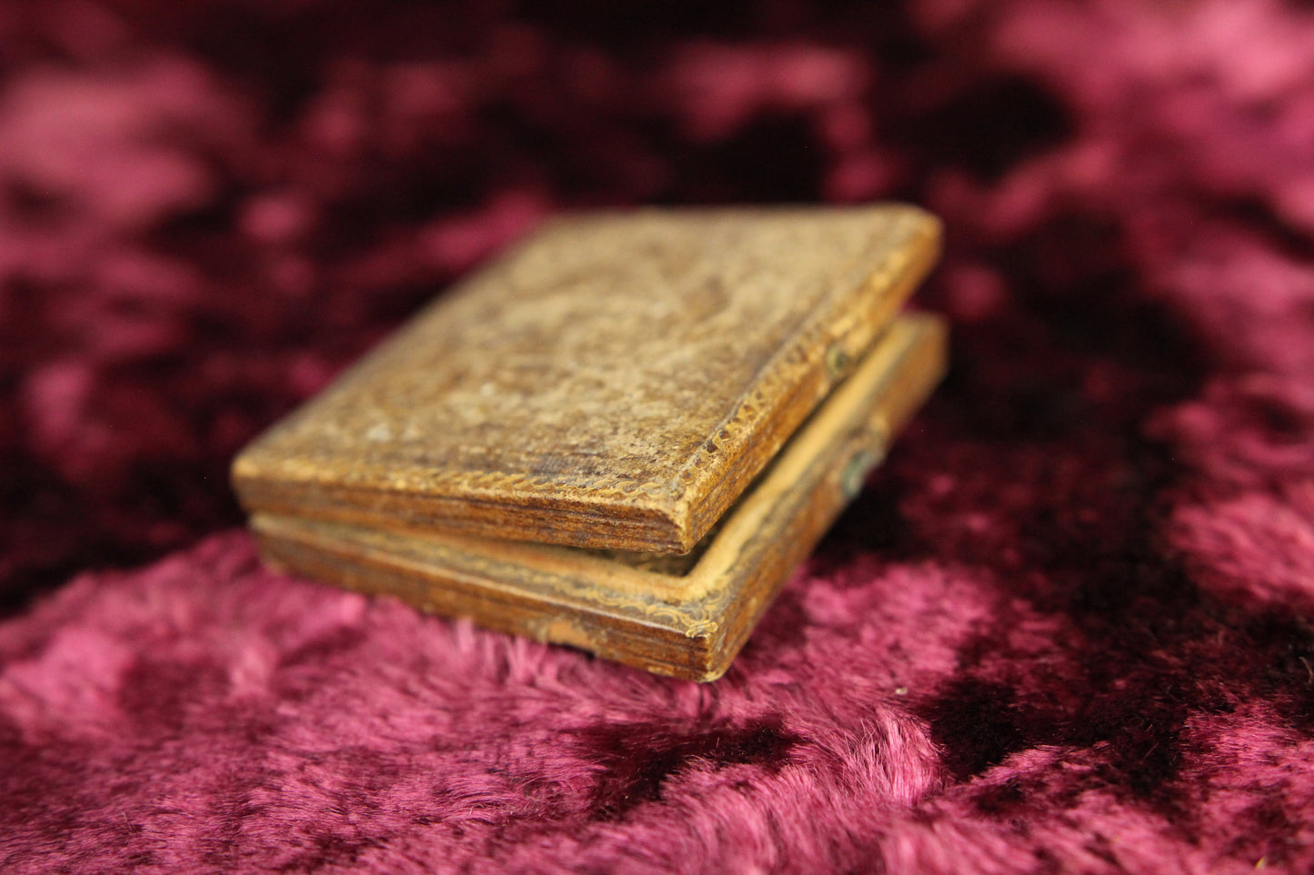 Ninth Plate Tintype Photograph of a Young Woman in a Full Union Case