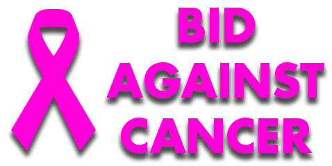 Bid Against Cancer - $80 Donated to Pink Revolution of NH!