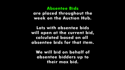 AUCTION-TERMS