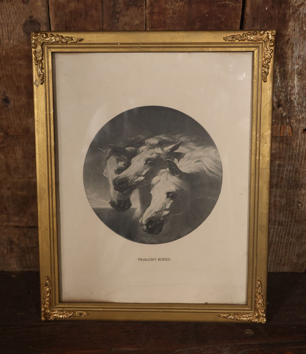 Antique Print Of J.F. Herring's Pharaoh's Horses In Small Gold Frame With Applied Metal Corners