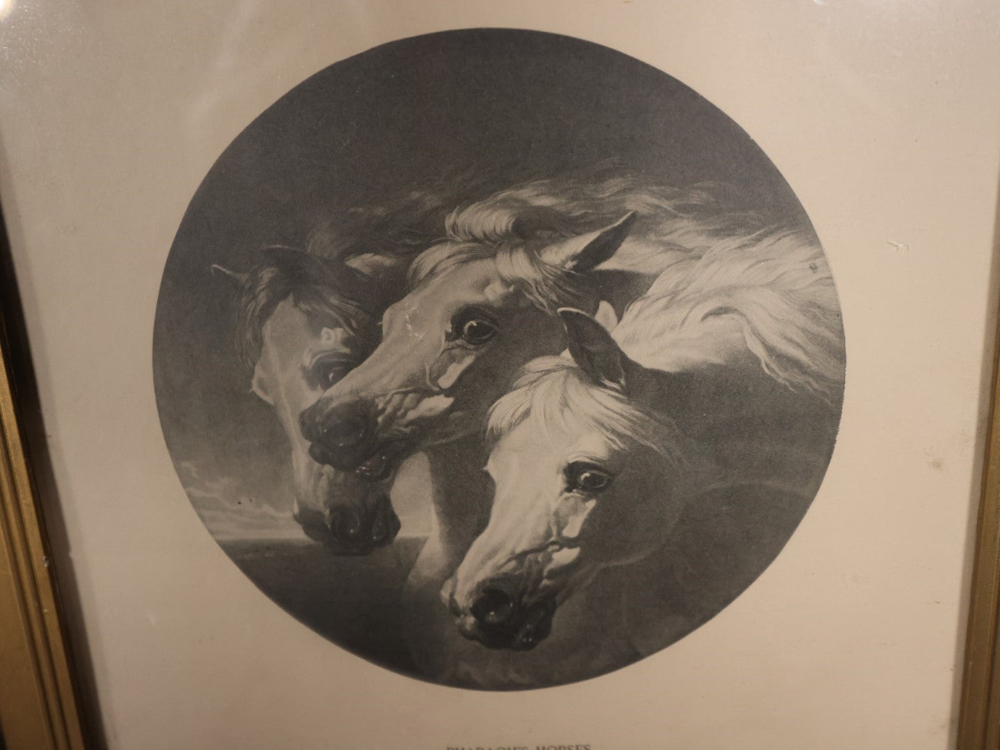 Antique Print Of J.F. Herring's Pharaoh's Horses In Small Gold Frame With Applied Metal Corners