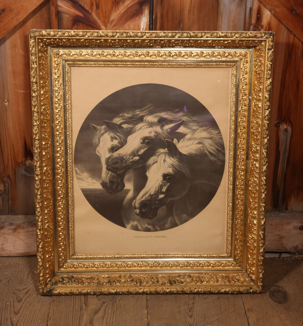 Oversized Print Of J.F. Herring's Pharaoh's Horses In Large, Ornate Gilt Frame