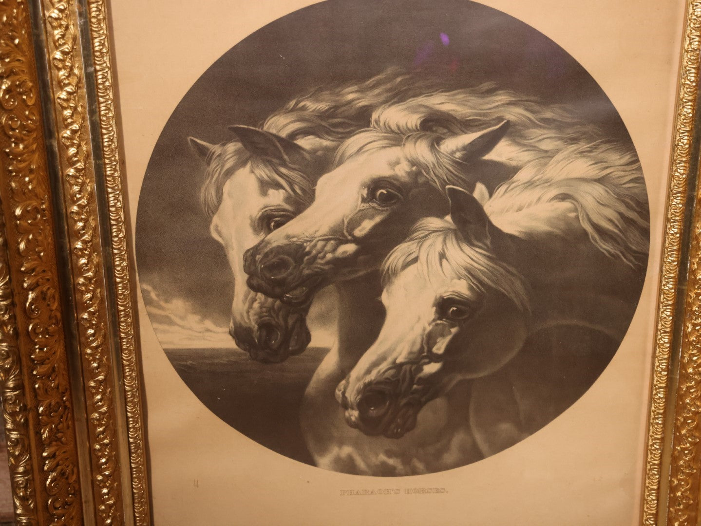 Oversized Print Of J.F. Herring's Pharaoh's Horses In Large, Ornate Gilt Frame