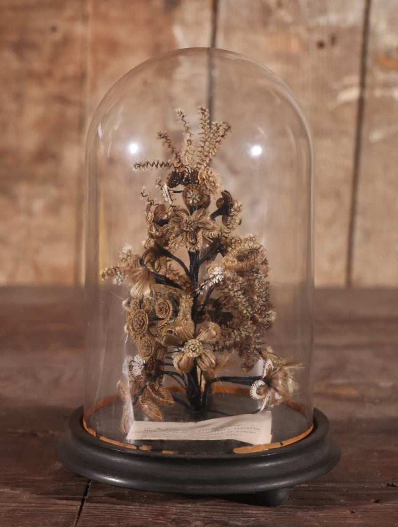 Victorian Human Hair Tree In Glass Cloche Dome With Provenance, Done By Isabella Upham Morse (1849-1927), Containing Hair Of The Upham Family, Circa 1895