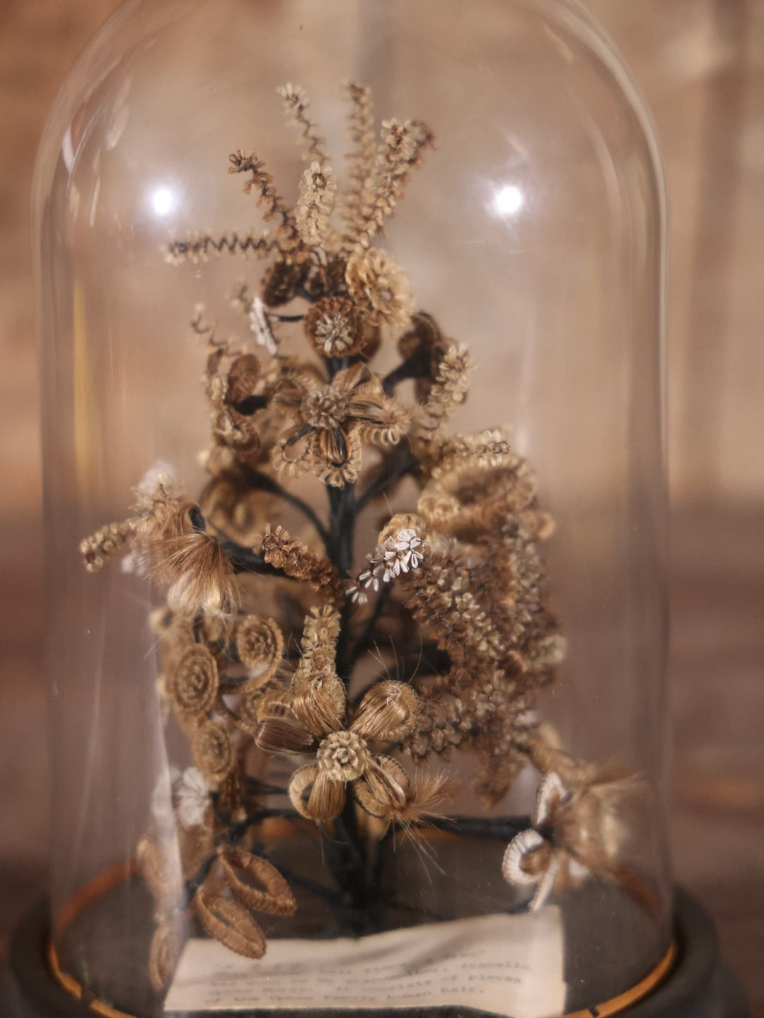 Victorian Human Hair Tree In Glass Cloche Dome With Provenance, Done By Isabella Upham Morse (1849-1927), Containing Hair Of The Upham Family, Circa 1895