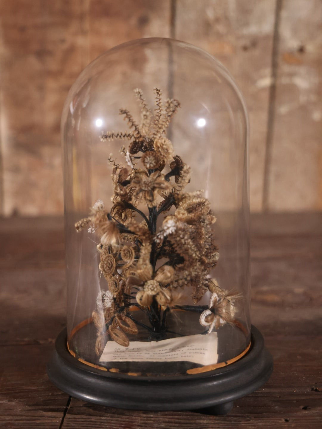 Victorian Human Hair Tree In Glass Cloche Dome With Provenance, Done By Isabella Upham Morse (1849-1927), Containing Hair Of The Upham Family, Circa 1895