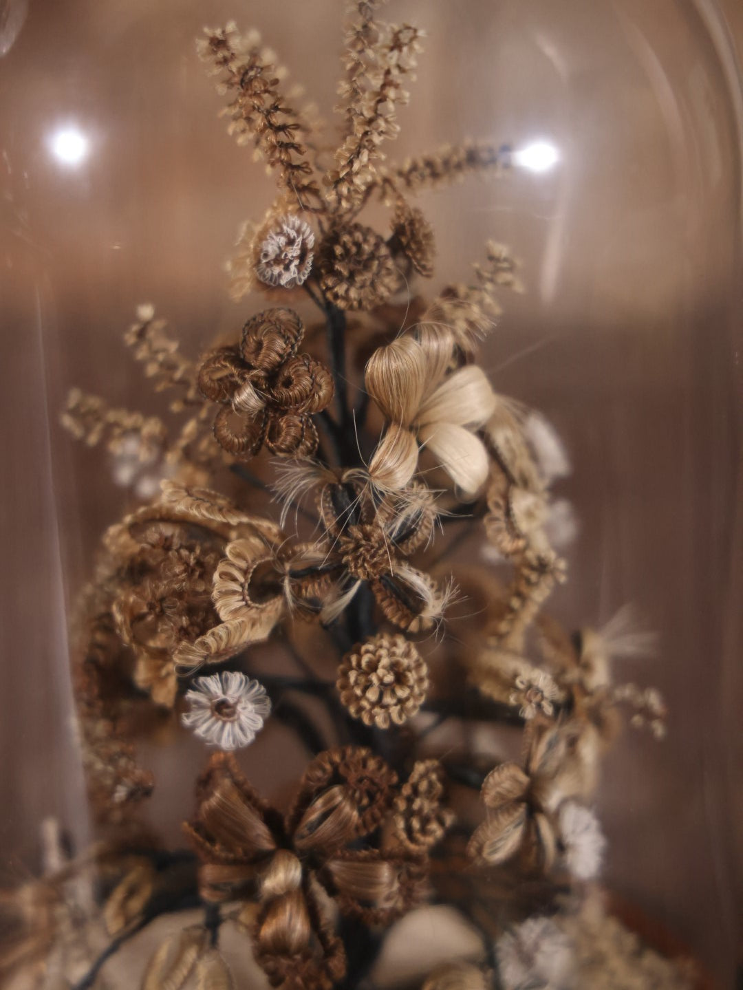 Victorian Human Hair Tree In Glass Cloche Dome With Provenance, Done By Isabella Upham Morse (1849-1927), Containing Hair Of The Upham Family, Circa 1895