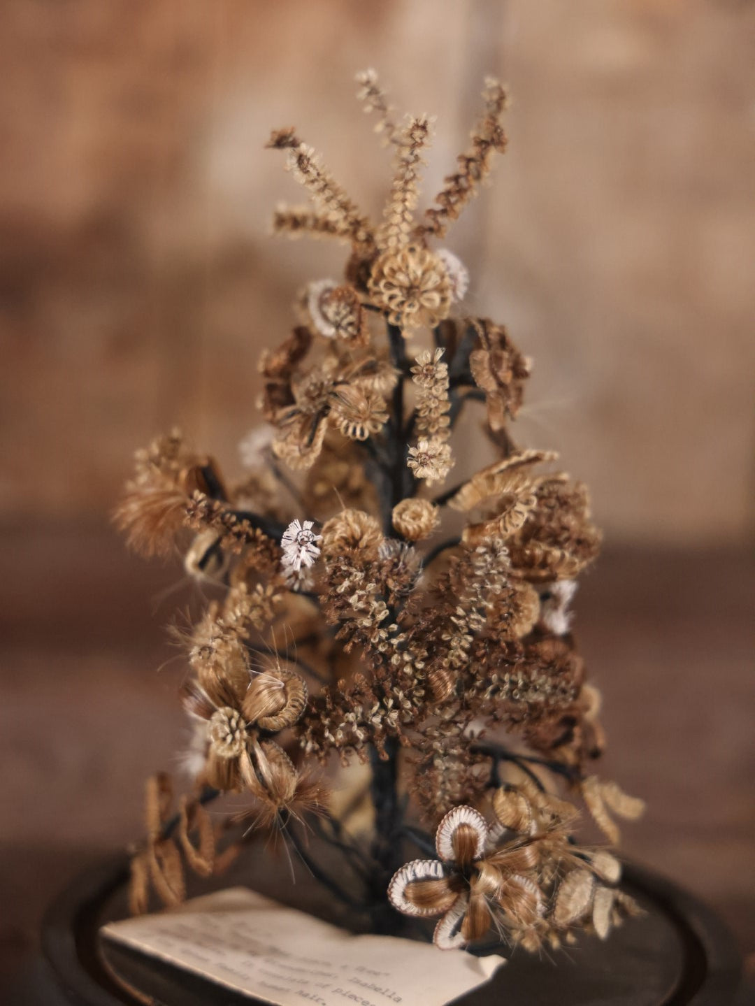 Victorian Human Hair Tree In Glass Cloche Dome With Provenance, Done By Isabella Upham Morse (1849-1927), Containing Hair Of The Upham Family, Circa 1895