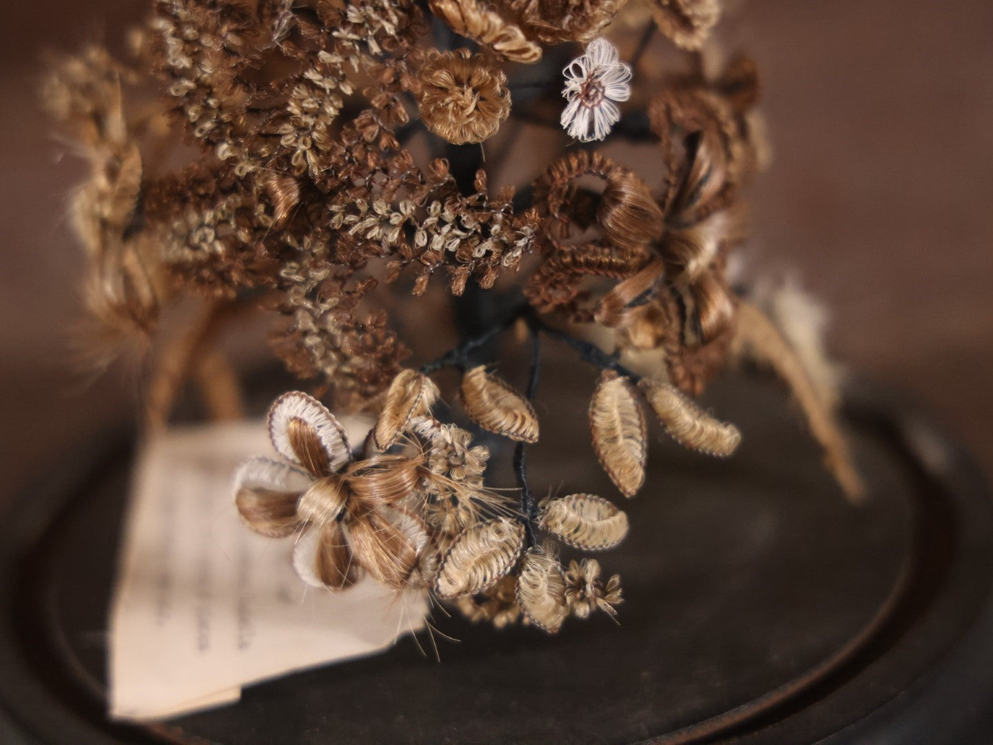 Victorian Human Hair Tree In Glass Cloche Dome With Provenance, Done By Isabella Upham Morse (1849-1927), Containing Hair Of The Upham Family, Circa 1895