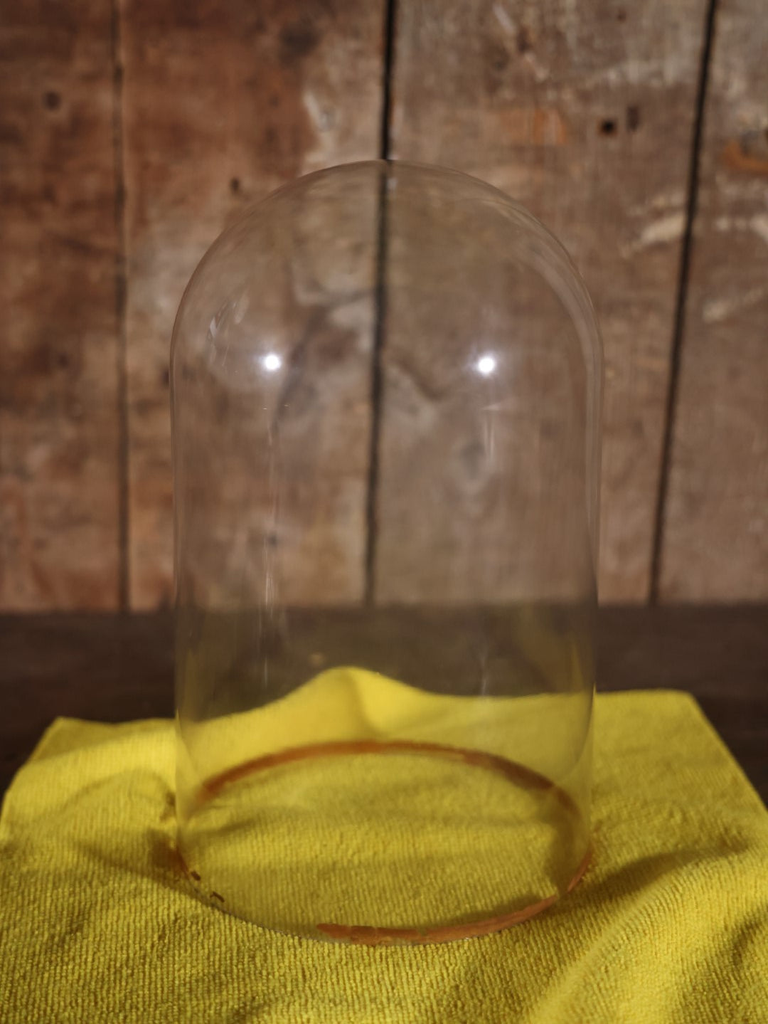 Victorian Human Hair Tree In Glass Cloche Dome With Provenance, Done By Isabella Upham Morse (1849-1927), Containing Hair Of The Upham Family, Circa 1895