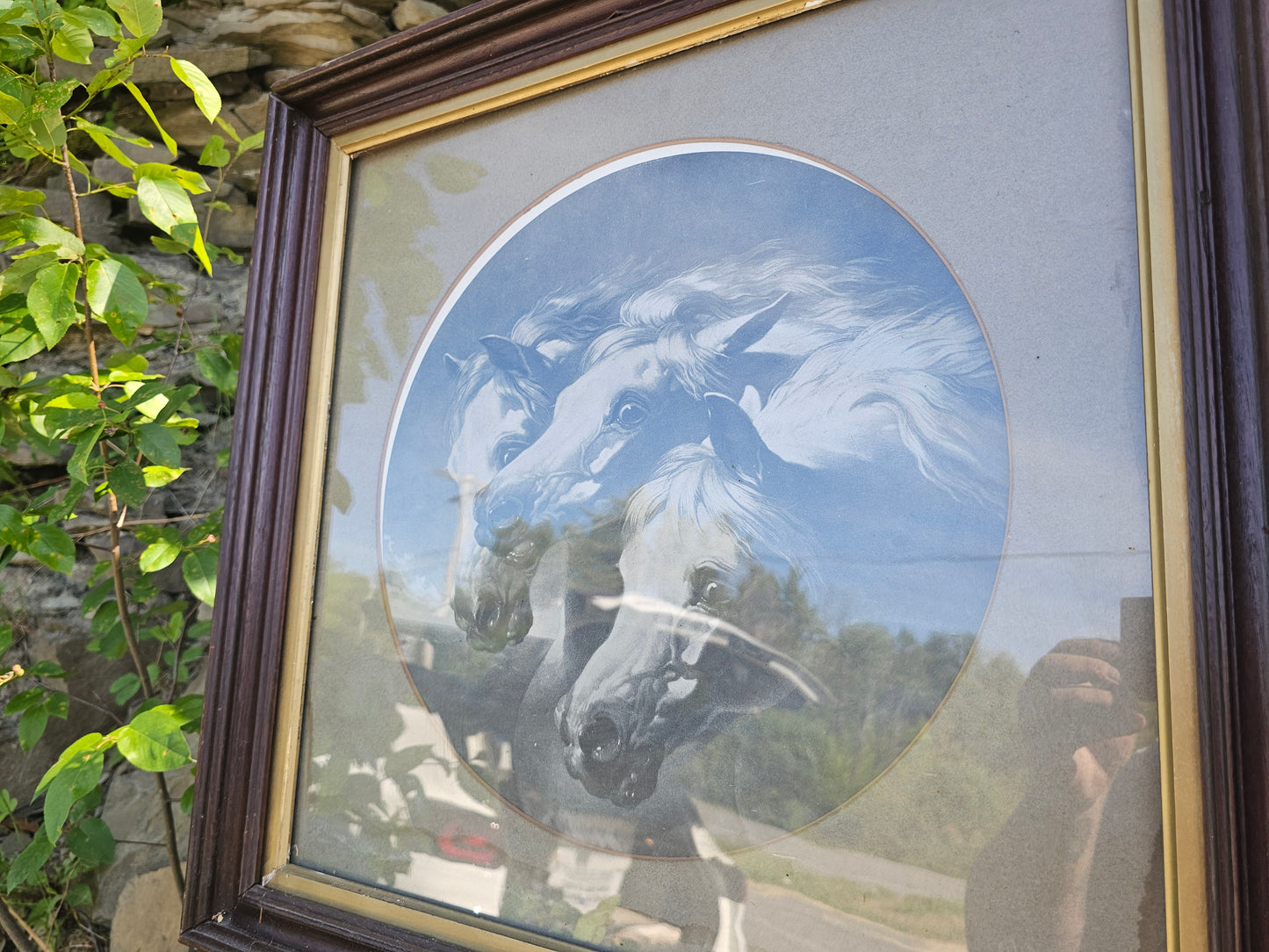 Large Antique Pharaoh's Horses Print with Circular Cut Mat