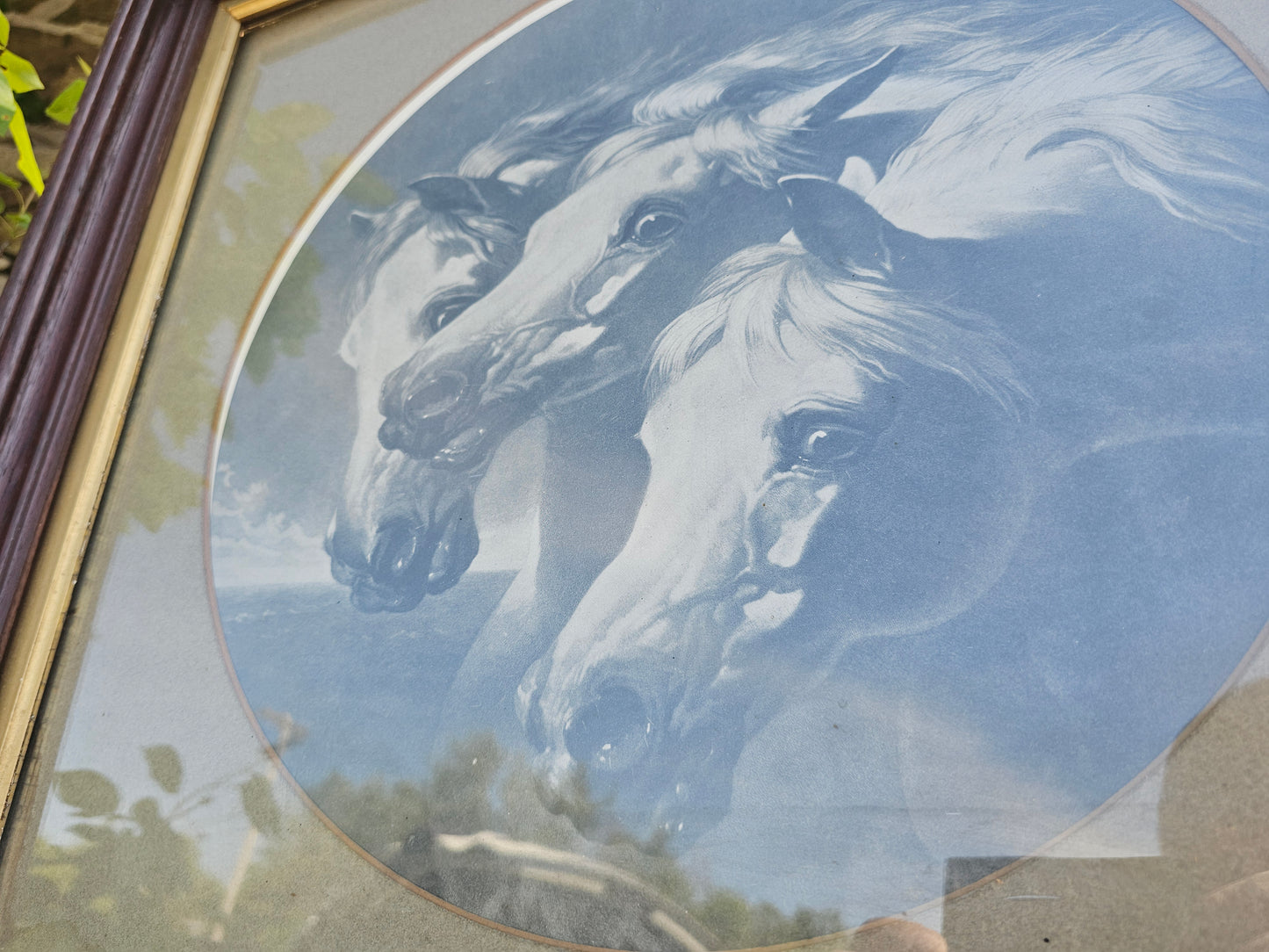 Large Antique Pharaoh's Horses Print with Circular Cut Mat