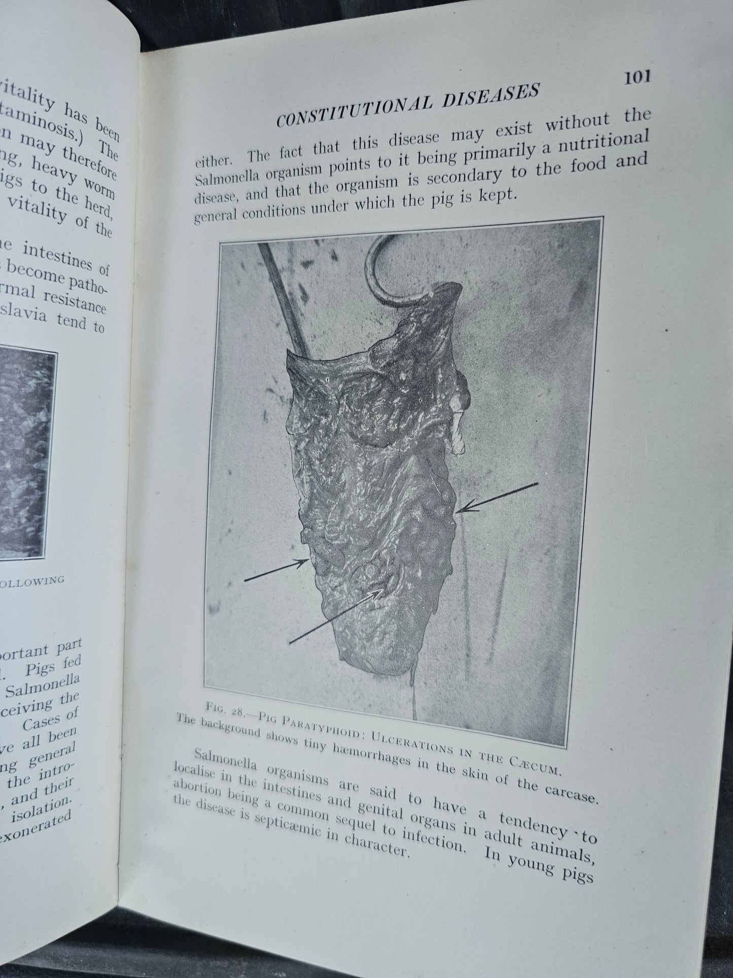 Diseases of the Pig and It's Husbandry by David J. Anthony, 1940 Book