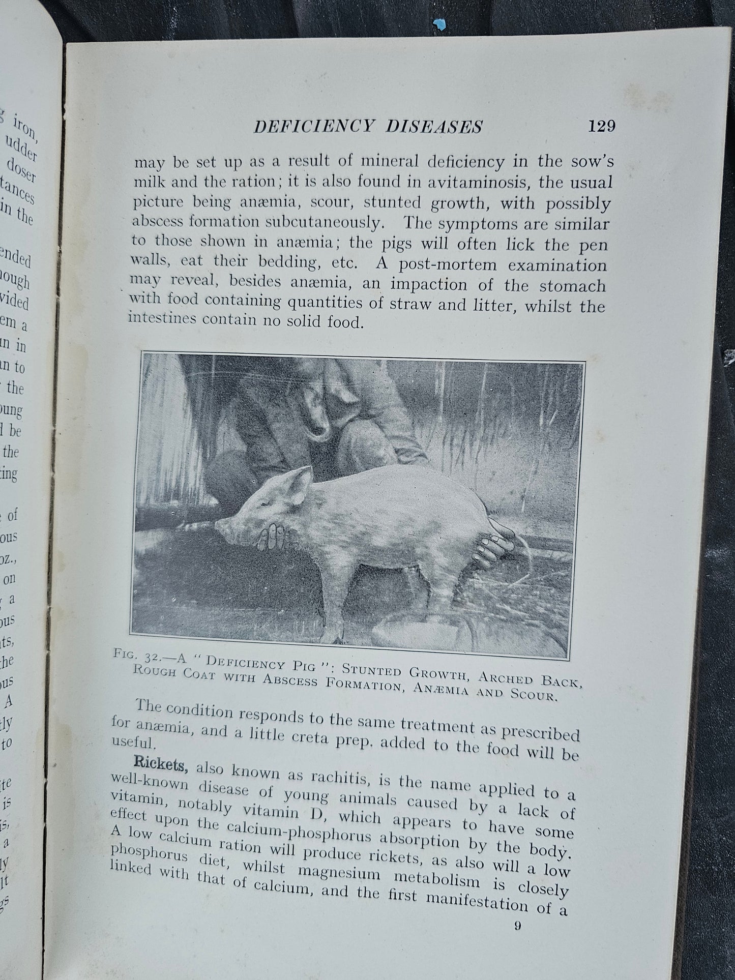 Diseases of the Pig and It's Husbandry by David J. Anthony, 1940 Book