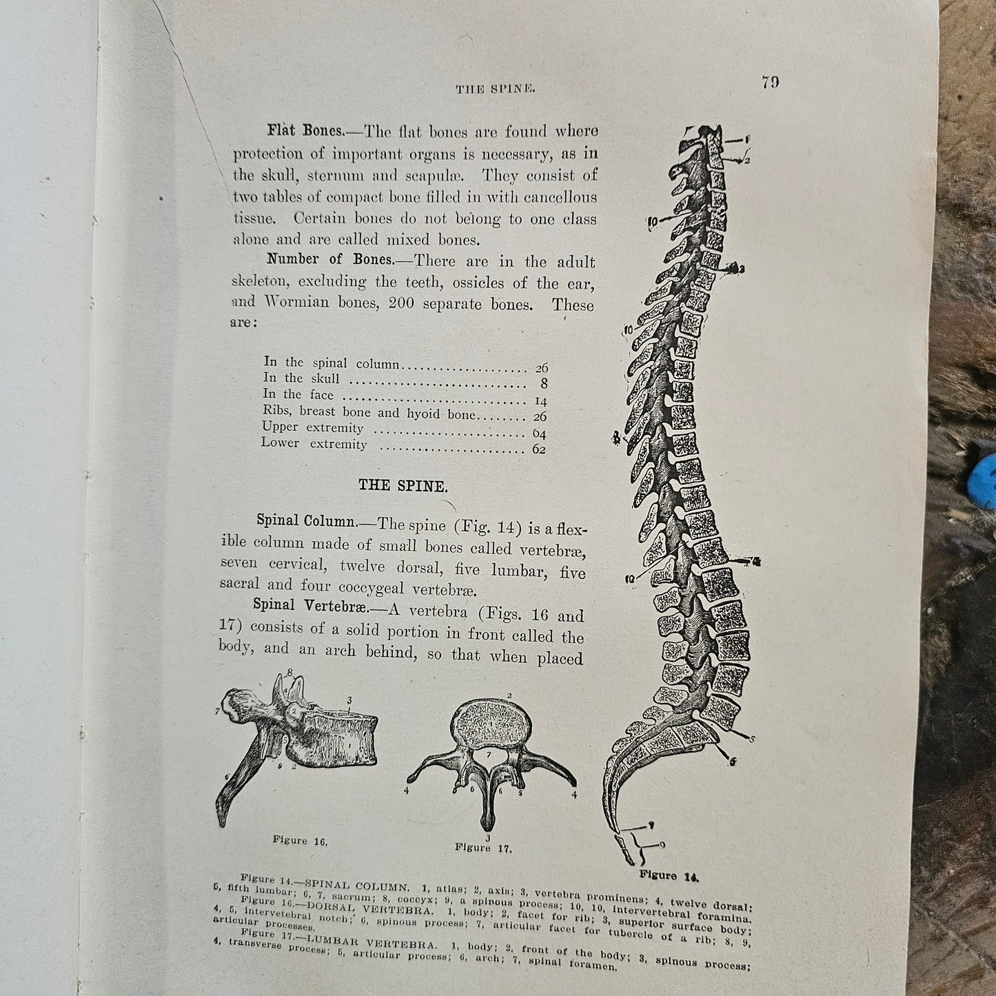 Roached library of health 1916 illustrated medical book