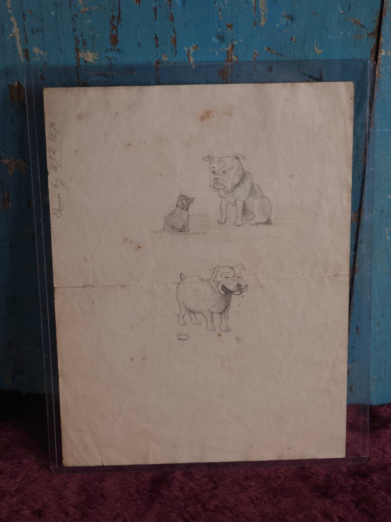 Original Pencil Skletch Of Bull Dog Eating Smaller Dog, Sigfned W.J.D., Dated 1876