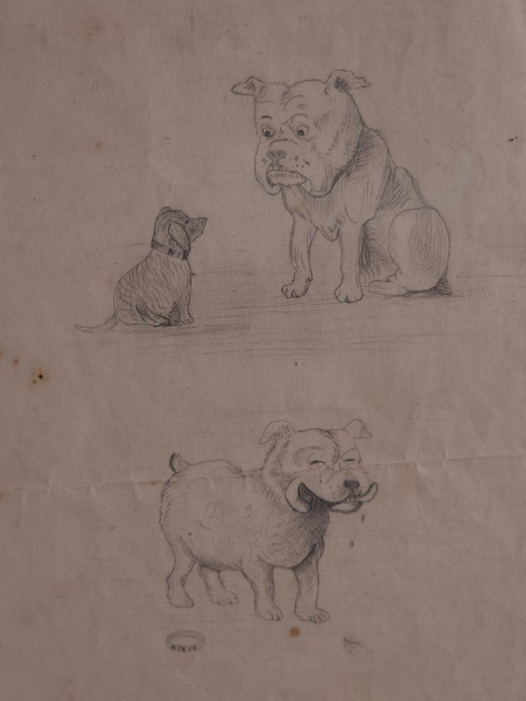 Original Pencil Skletch Of Bull Dog Eating Smaller Dog, Sigfned W.J.D., Dated 1876