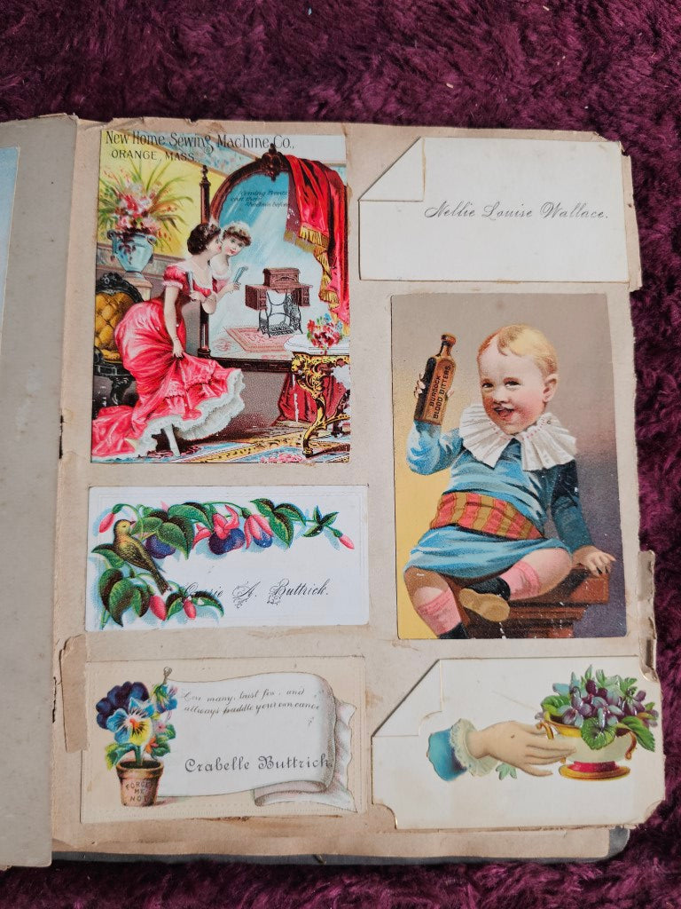 Antique Trade Card Scrapbook With Bird And Capitol Building Motif On Cover, Many Scraps And Cards