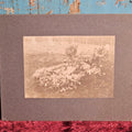 Lot 067 - Antique Boarded Photo Of Funeral Flowers By Graveside, Name "Alick" Is Visible