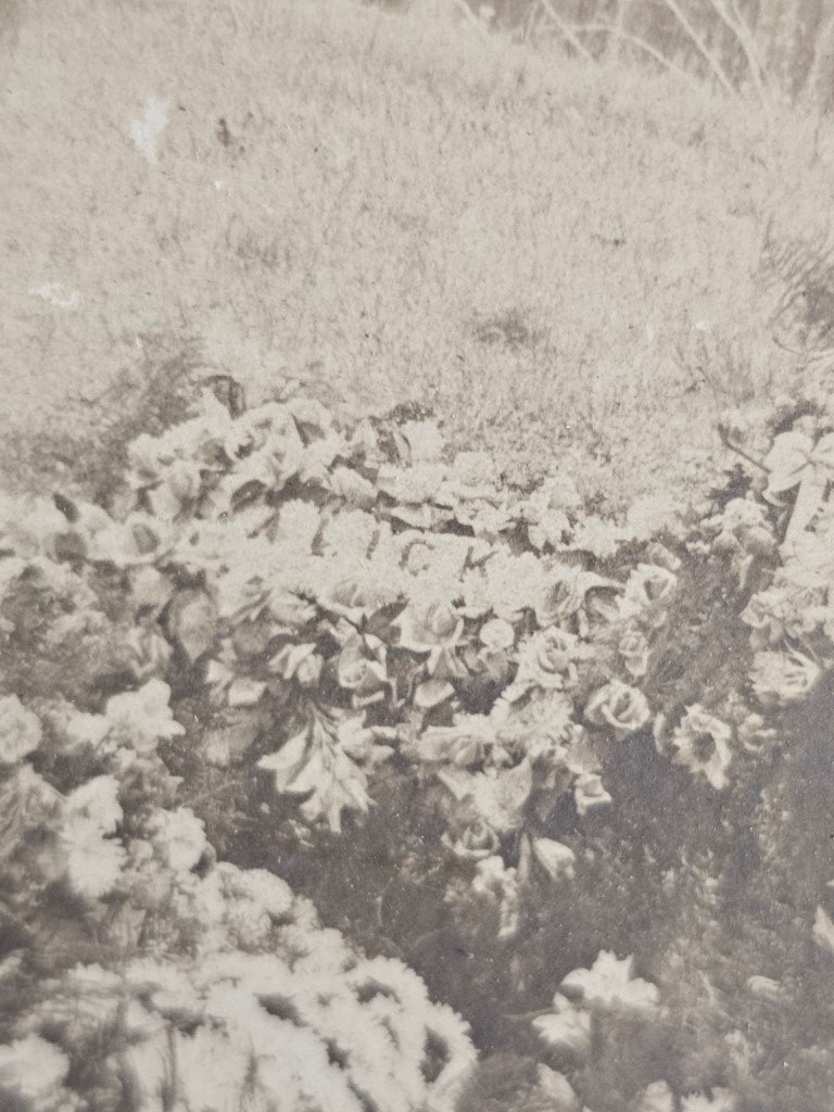 Antique Boarded Photo Of Funeral Flowers By Graveside, Name "Alick" Is Visible