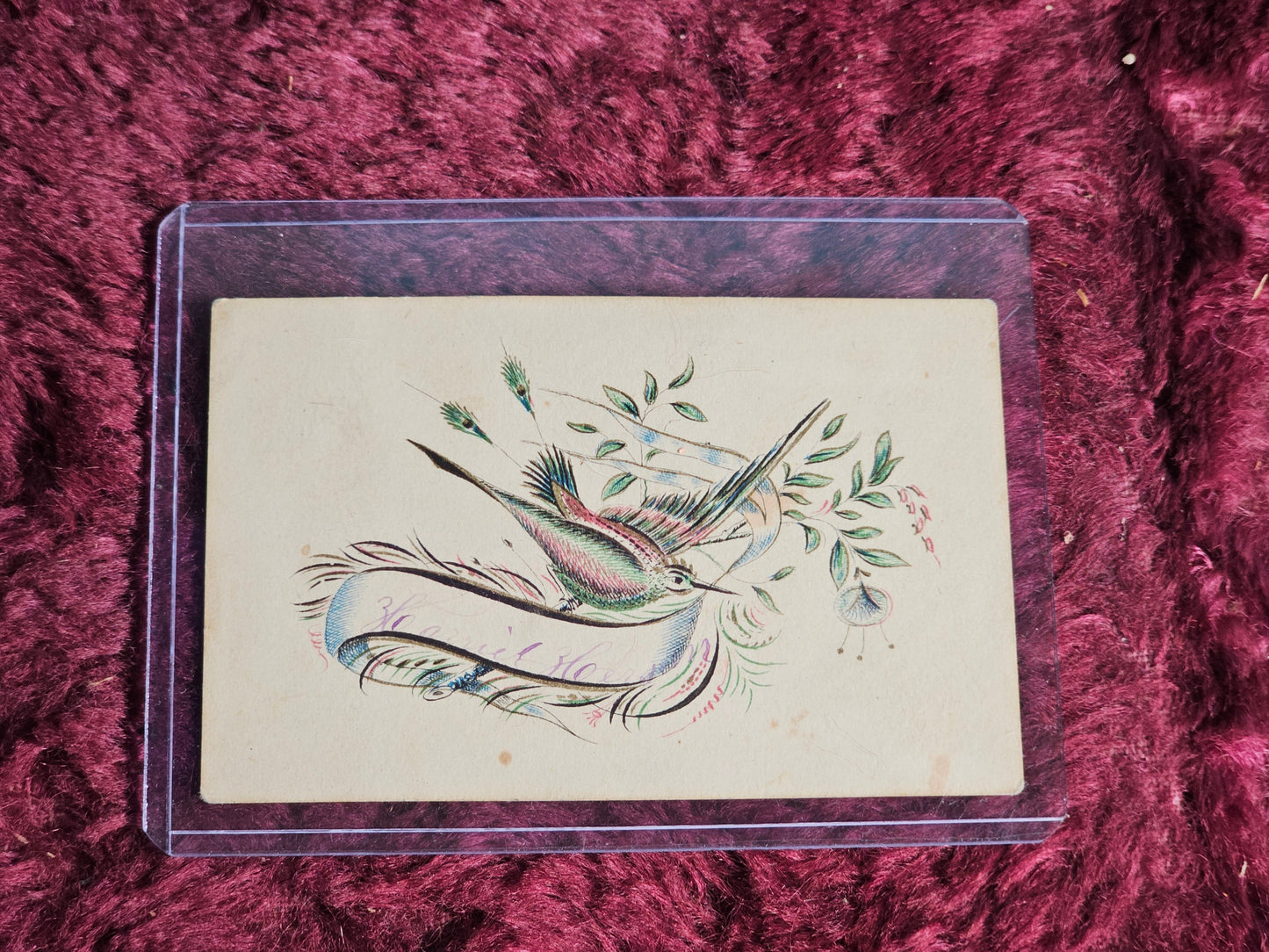 Antique Calling Card, Colorful Bird, Name In Pink