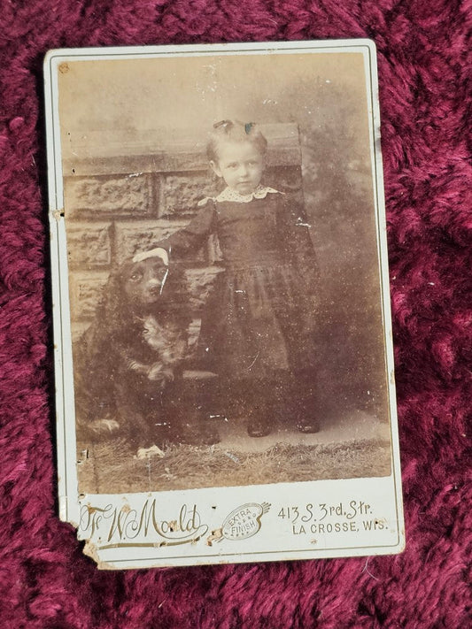 Cabinet Card Photo Of Little Girl With Dog, Damage To Corner, F. W. Mould Photographer