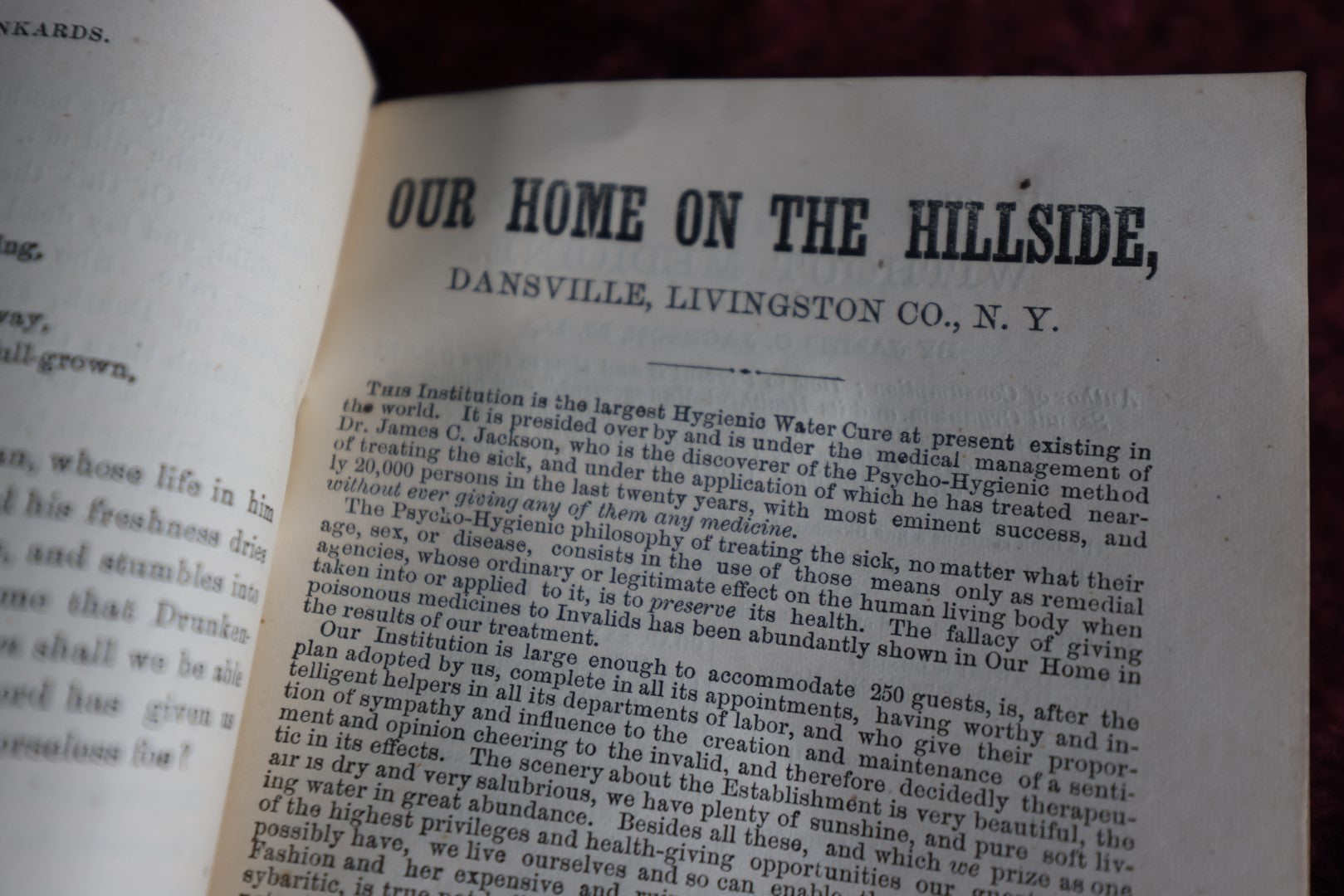 Lot 065 - Antique Pamphlet, Four Drunkards, By James Jackson, M.D., Advertising "Our Home," The Largest Hygenic Water Cure, 1872