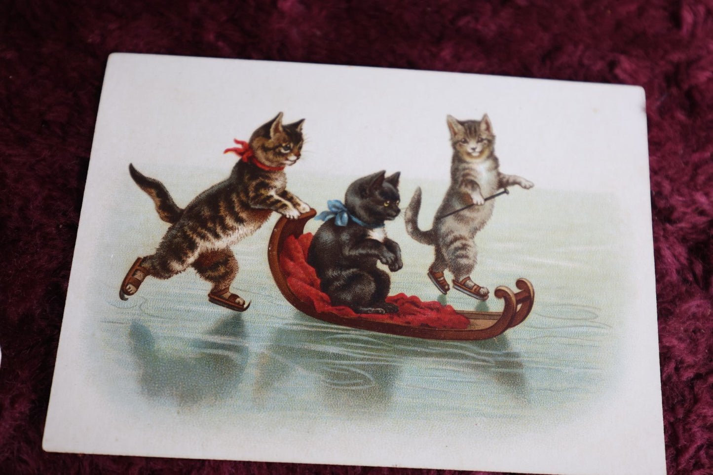 Lot 091 - Grouping Of 16 Trade Cards And Art Cards, Antique, Cats Dogs, Hold Up To Light Card