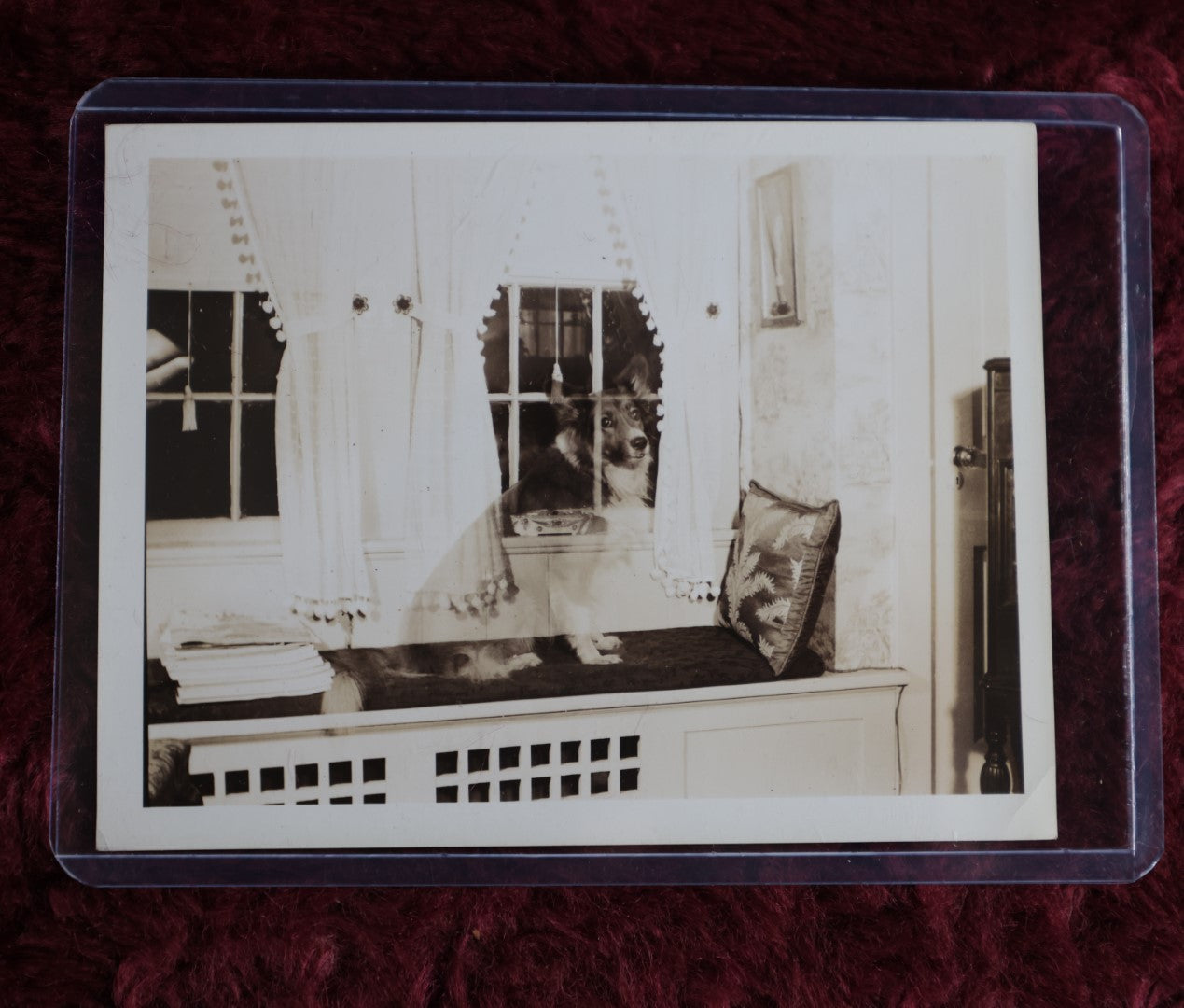 Lot 105 - Vintage Snap Shot Double Exposure Trick Photo Of Ghost Dog