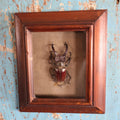 Lot 006 - Vintage 1974 Stag Beetle Taxidermy Shadow Box By Artistry In Nature, Laguna Beach, California